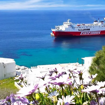 Oceania Тоурлос